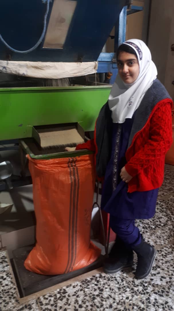 بازدید دختران ششم از کارخانه برنجکوبی